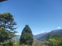 Heaven Inn Manali Hotels in Soil