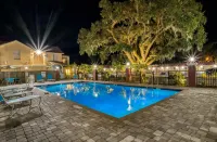 Villa 1565 - Saint Augustine - Pools