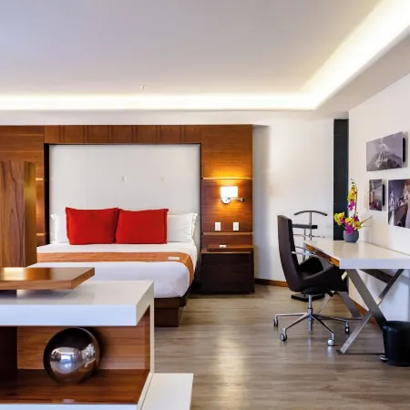 JF Grand Puebla