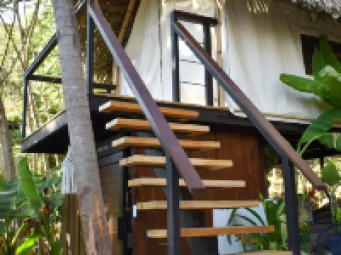 Bohemia Experience Hotels in Cobano