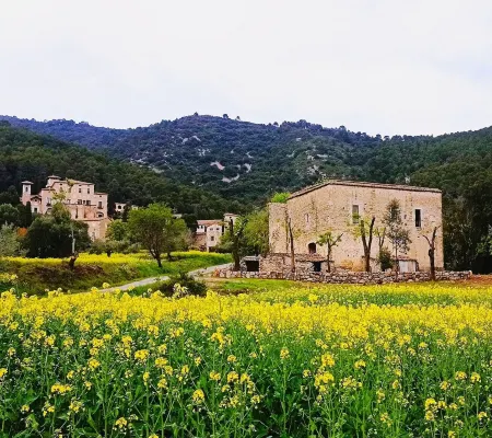El Castell de Segueró