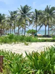 Palmeras de Mahahual Cabañas - con vistas al mar