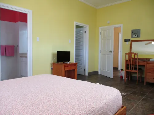 Harlem B & B Hotels in Dover
