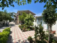 Tolga Pansiyon Hotels in Dalyan