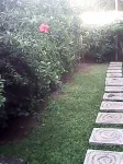 Bali Sari Homestay Hotel in zona Divers Cafe Dive Resort