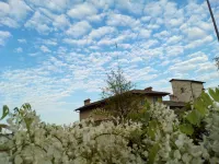 Casa Torre Allera Các khách sạn ở Cuneo