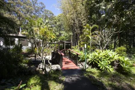 Songbirds Rainforest Retreat Отели в г. Вонгаваллан