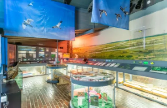 Arctic Circle Apartment and Cabins Hotels in Eastern Lapland