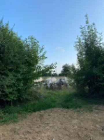 La Villa Saint-Léger - 5 Bedrooms - Swimming pool - garden