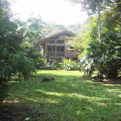Casa Piña,  Bamboo Rainforest Beach House Hotel Exterior