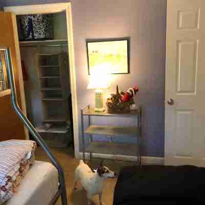 Quiet private Centerville cottage, walk to beach, central A/C, parking pass. Rooms