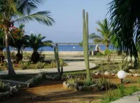 Well-maintained Sand Dollar Oceanfront Condo F-9 with new kitchen