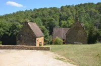 Authentic small Périgord house with salt pool at the gates of SARLAT