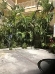very nice condo full equiped