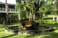 CONCH SHELL COTTAGE at white sand beach. Hotels in Newcastle