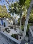 Coconut Cottage 1 bed & 1 bath