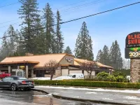 Cozy NEW basement suite located in beautiful Silver Valley, Maple Ridge Hotels in Maple Ridge