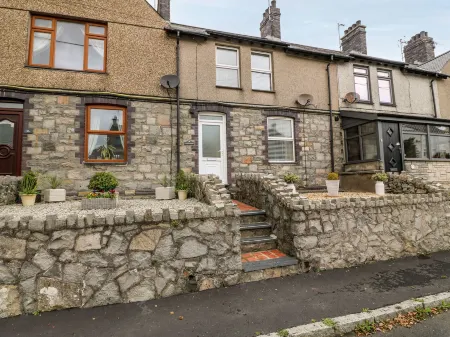 Bythynnod Newydd Отели в г. Лланаелхаерн