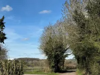 Barn Cottage - Homestays
