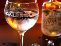 埃倫瓦寧酒店 道格拉斯酒店