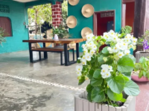 Hotel Casa Verde Hotels in Troncones