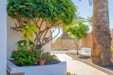 Apartamentos Isla de Lobos - Adults Only Отели рядом с достопримечательностью «IES Puerto del Carmen»