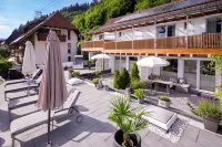 Wellness Pension am Rain Hotels near Elz