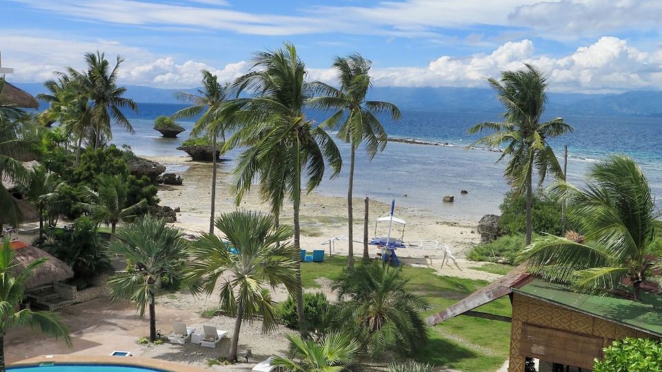 The Wild Orchid Resort - Moalboal