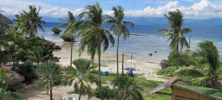 The Wild Orchid Resort - Moalboal Hotels in Moalboal