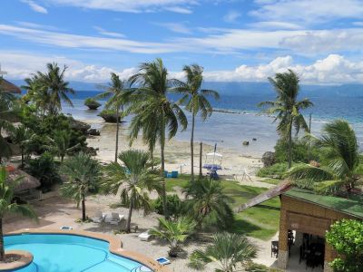 The Wild Orchid Resort - Moalboal