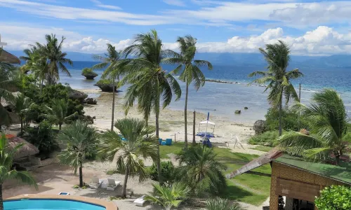 The Wild Orchid Resort - Moalboal
