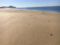 Desierto Azul Hotels in Todos Santos