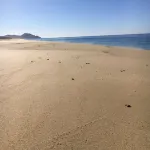 Desierto Azul Hotels in Todos Santos