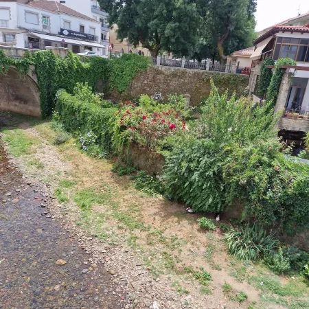 Hotel la Palmera