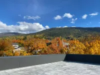 Downtown Mountain Getaway Hotels in Nelson