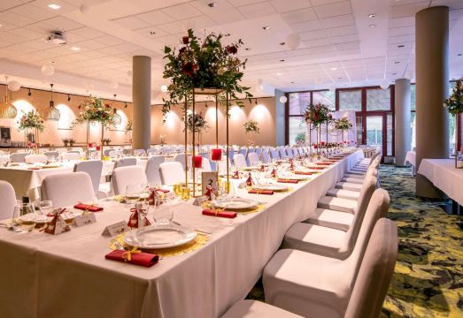 머큐어 옐레니아 고라 실내