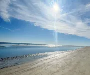 Coastal King Couples Retreat Oceanfront Beach Property Convenient to Everything!