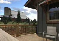 A hand-crafted cabin built in the middle of a Christmas Tree farm.
