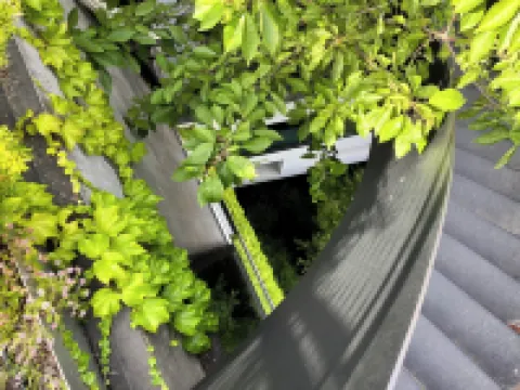 泰迪皮克酒店