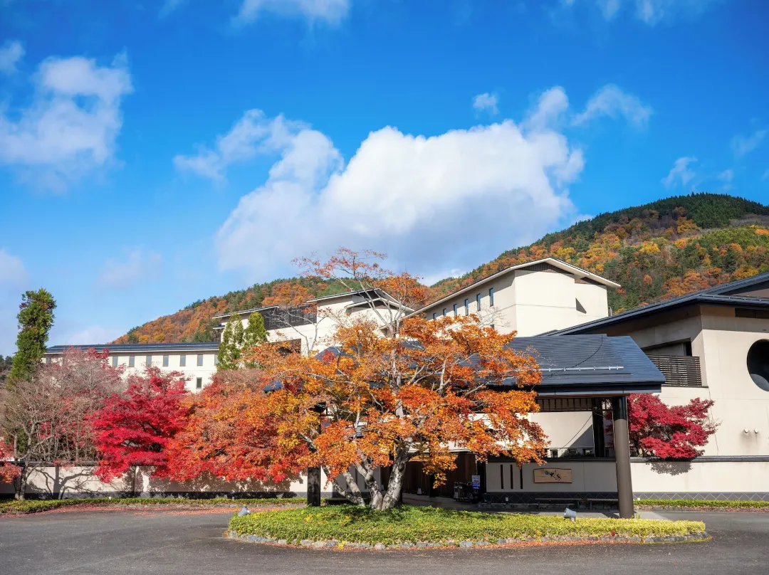Iizaka Onsen Surikamitei Ohtori - Fukushima