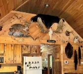 Knotty pine log cabin - boating, fishing, ATV trails and hiking!