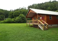 Brand New "Mountain Life" No Contact check in