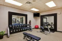 Hilton Garden Inn Mobile East Bay/Daphne - Gym