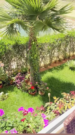 Charming apartment Отели в г. Асила