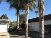 Colorful Warm Weather Jewel House 10,000 sq ft lot. Hotels in Menifee