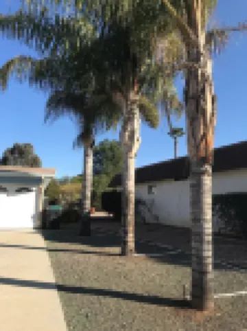 Colorful Warm Weather Jewel House 10,000 sq ft lot.