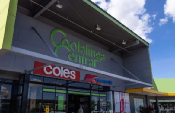 禪意露兜樹角泳池 - 後院 - 陽台