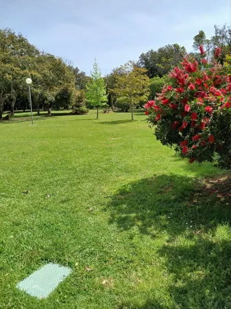 Vacations in Corsica