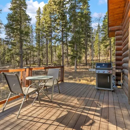 Cozy Mountain Cabin 1 Hour from Denver Backs up to National Forest EV Charging!