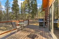 Cozy Mountain Cabin 1 Hour from Denver Backs up to National Forest EV Charging!